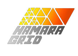 Hamara Grid Logo