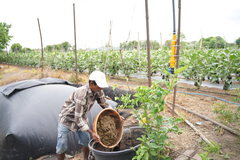 Farmer adding cow dung to the Sistema Biodigester