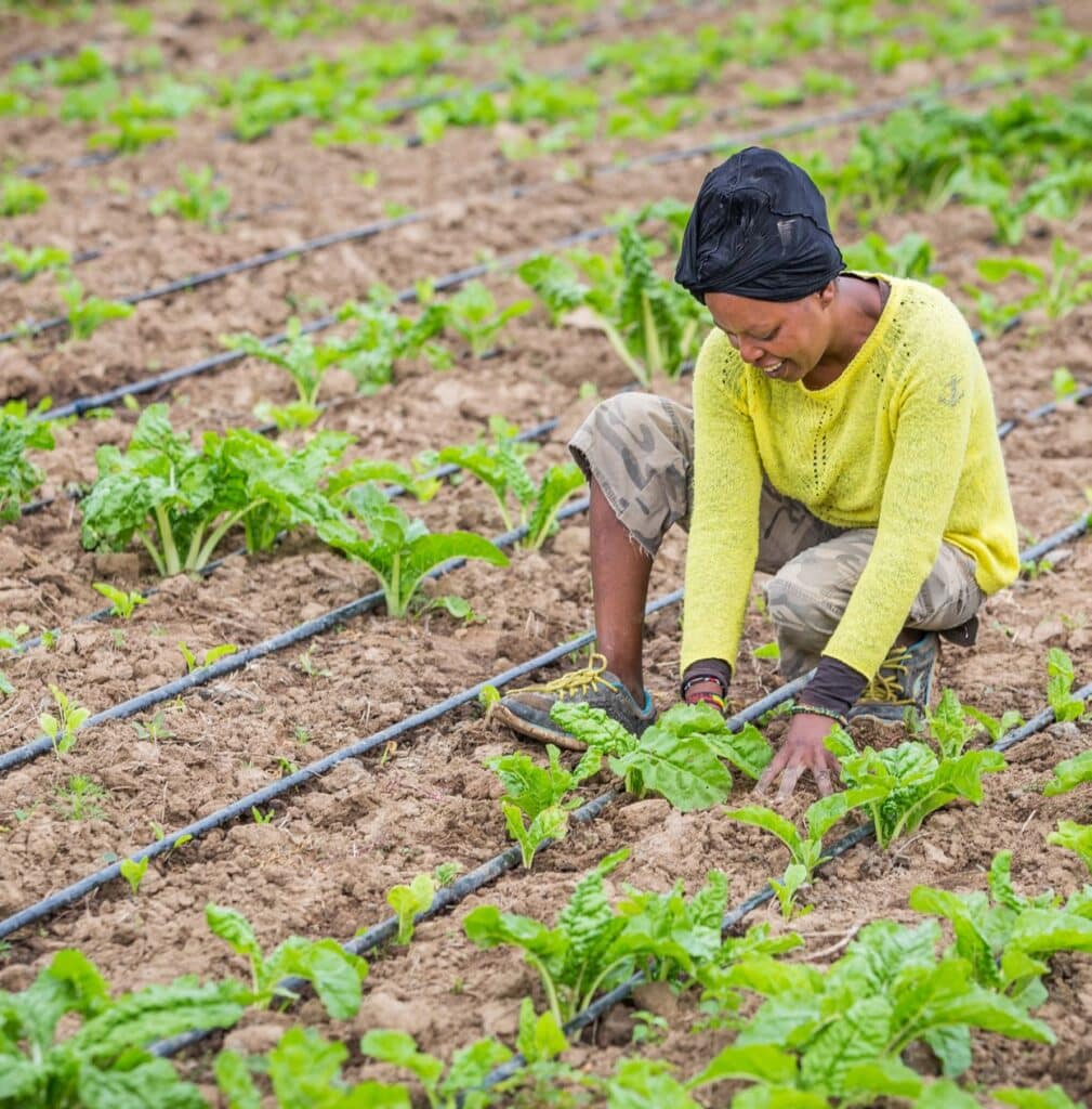Woman sitting in a field of vegetation